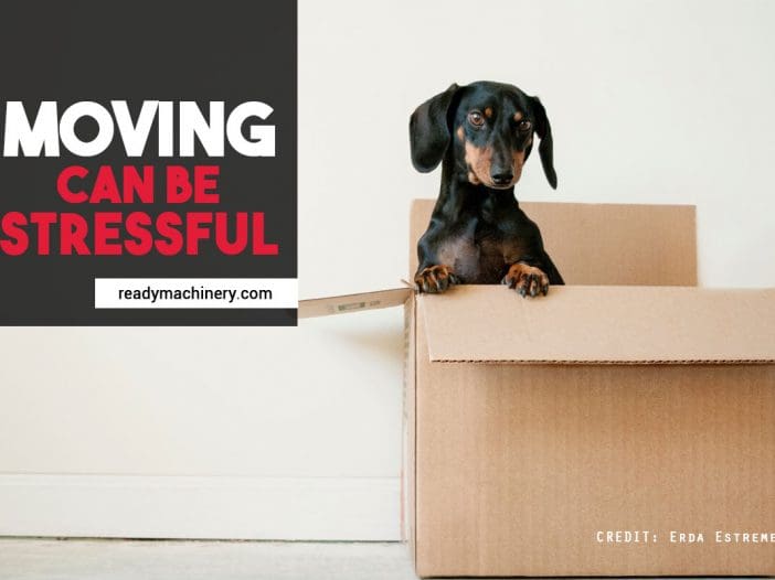 Moving can be stressful
