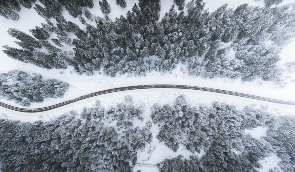 Aerial view of a winding road cutting through a snowy landscape. The scene is dominated by dense evergreen trees blanketed in snow, creating a serene winter atmosphere. The road curves gently, contrasting with the white surroundings, while patches of snow-covered ground are visible between the trees. The overall color palette features shades of white, green, and gray, evoking a tranquil, wintry setting.