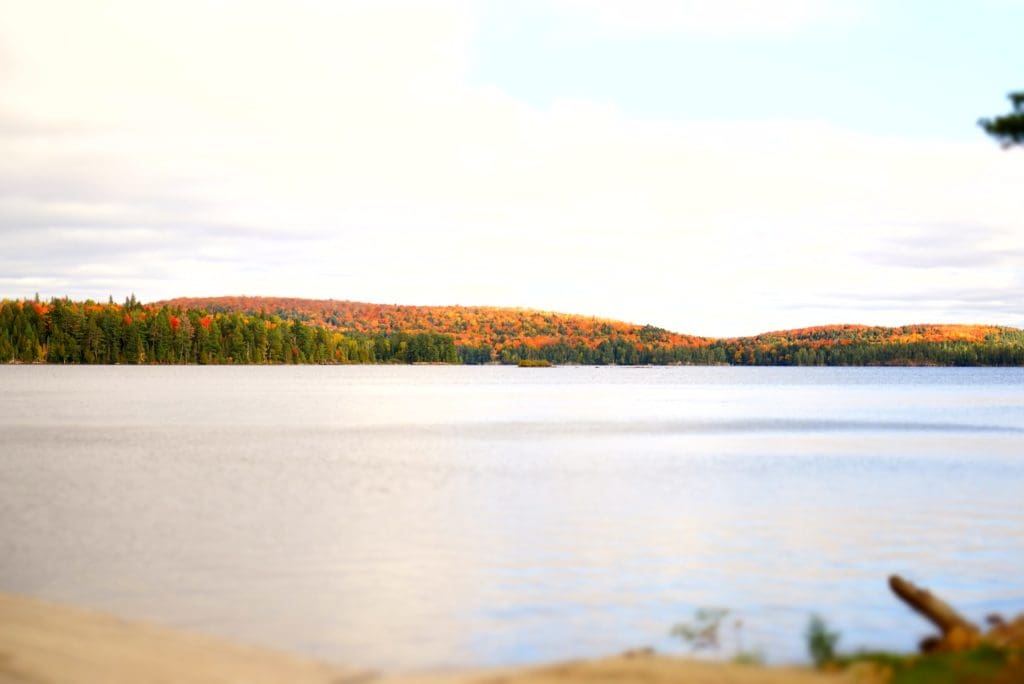 A beautiful view in Ontario