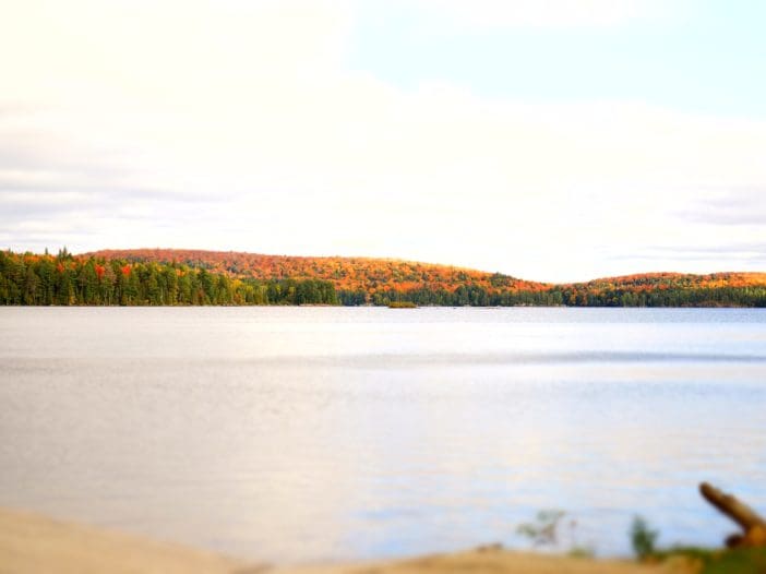 A beautiful view in Ontario