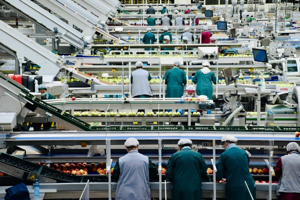 Workers in protective clothing and hairnets sorting apples on multiple conveyor belts in a large, organized fruit processing facility. The facility is equipped with machinery, computer monitors, and automated systems for handling the apples.